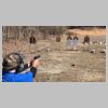 COPS Mar 2021 Level 1 USPSA Practical Match _ Stage 6 _No Need Believing In Either Side_w-Bill Blount 3.jpg